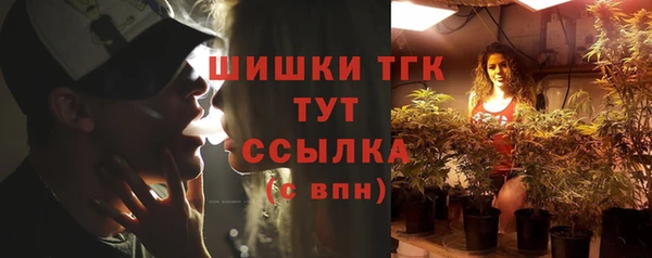 бошки Бронницы
