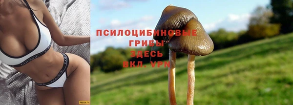 2c-b Бугульма