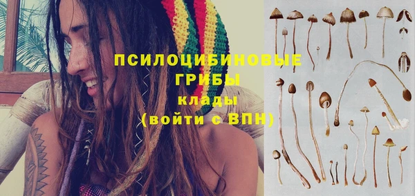 бошки Бронницы