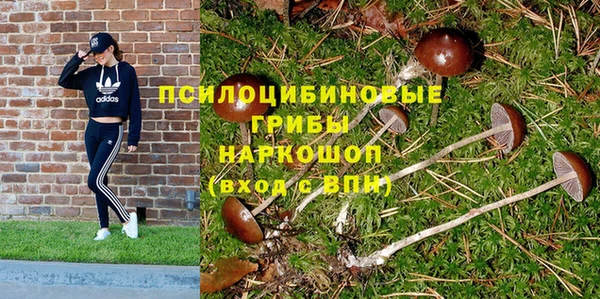 2c-b Бугульма