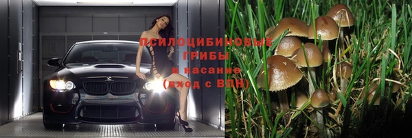 бошки Бронницы