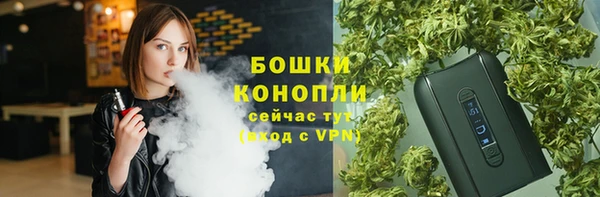 бошки Бронницы